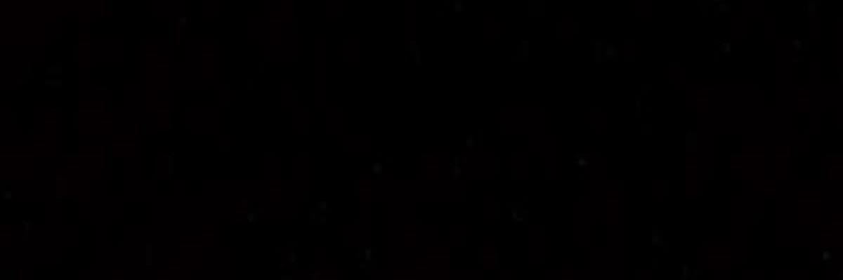63FA79's profile banner image