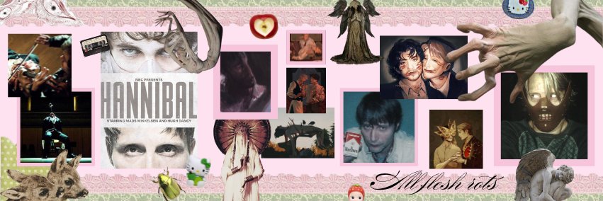 drodice20249's profile banner image