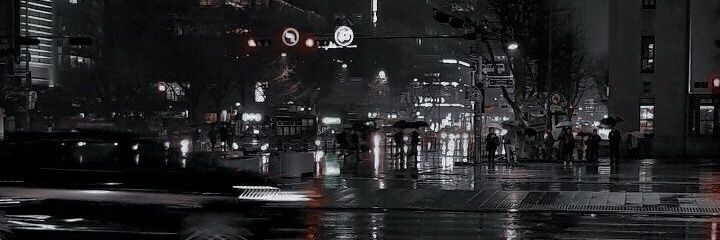 Raven. banner