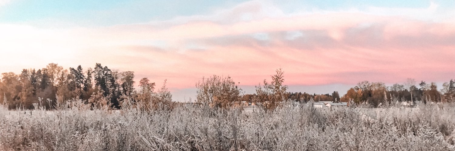 hennatiiaa's profile banner image