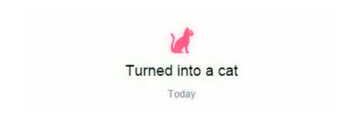 JUNO DAY ౨ৎ banner