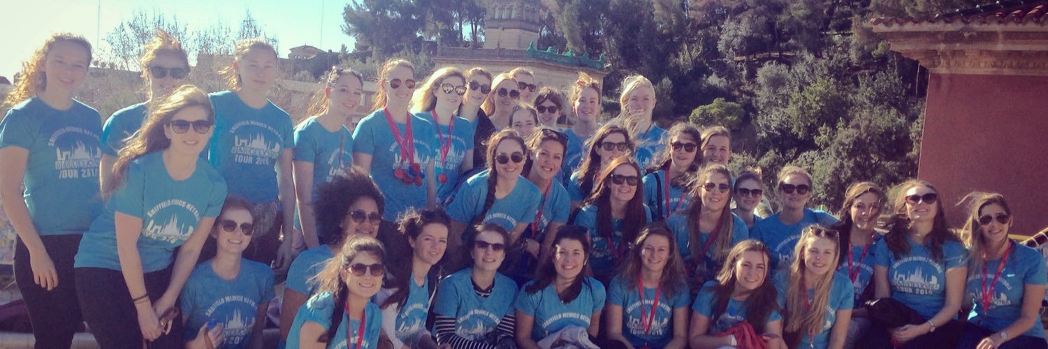 Shef Medics Netball banner