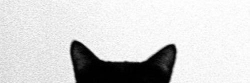 Rubina_999's profile banner image