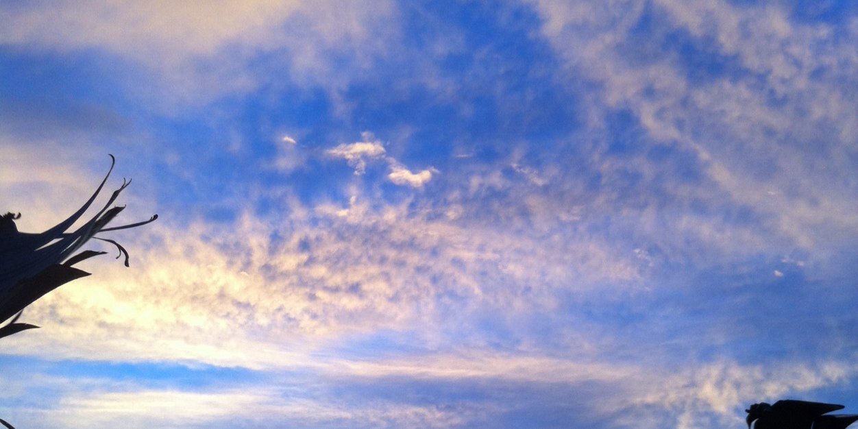 carmonajoha's profile banner image