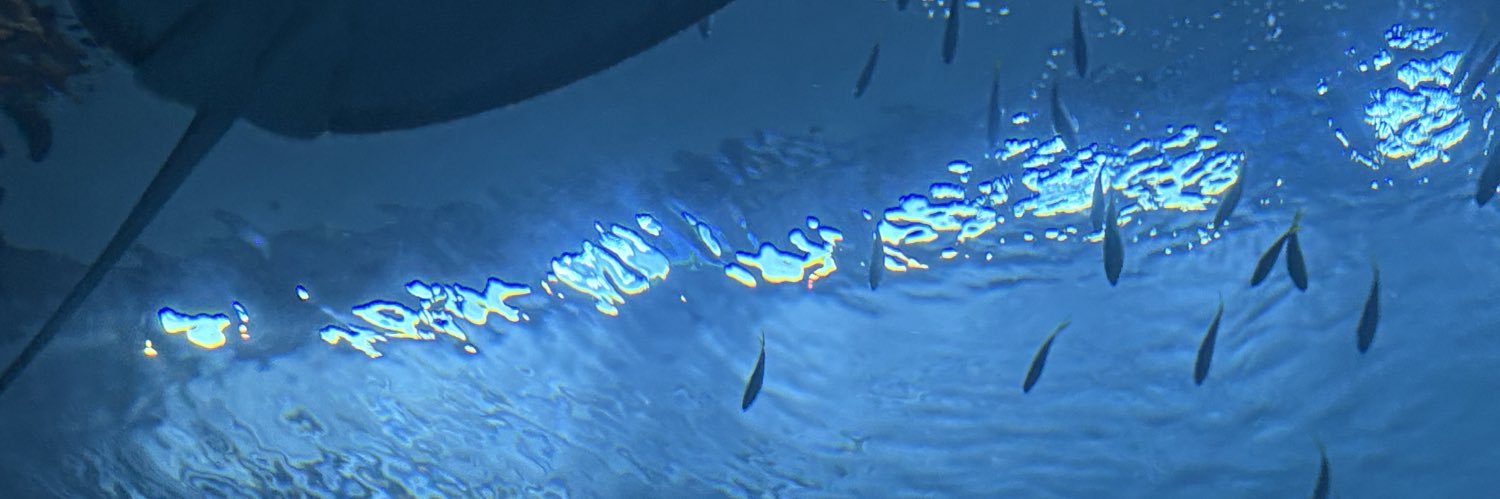 telepathyfordummies banner