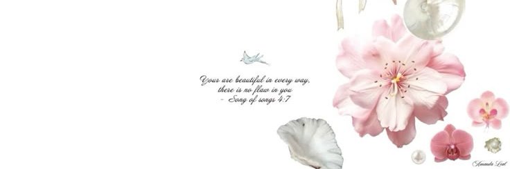 NinadelVolc4n's profile banner image