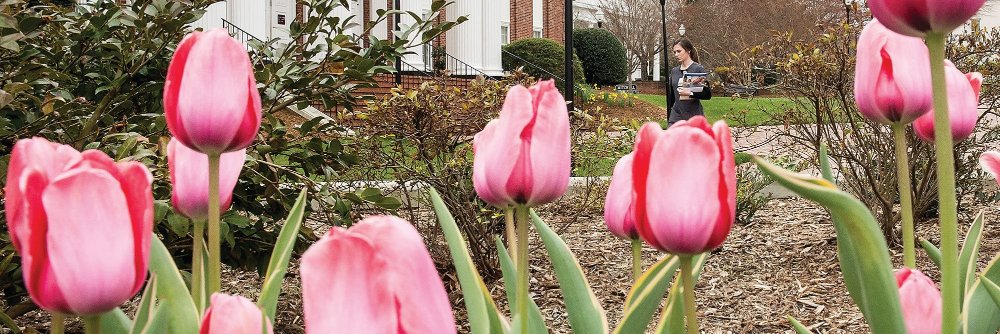 statesville's profile banner image