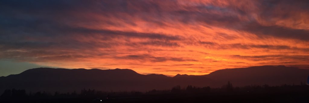 AlejandraHD_'s profile banner image