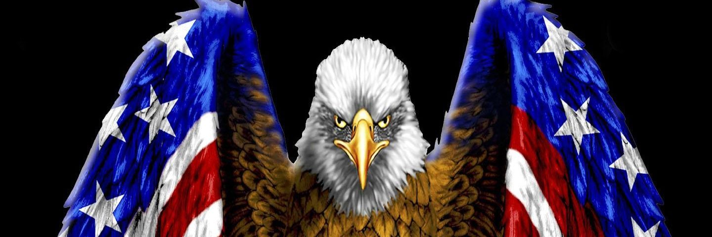 GreenKnight224's profile banner image
