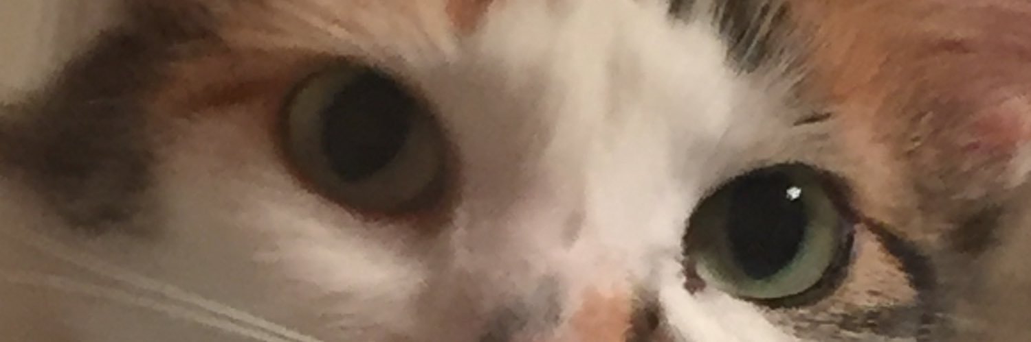 ALITASAC's profile banner image