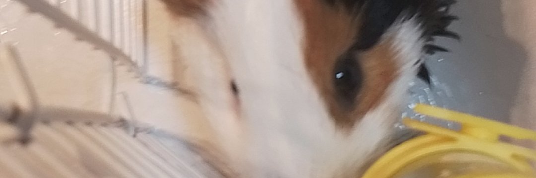 给力给力 banner