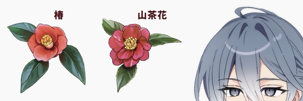 ペンダコ(メンダコ) banner