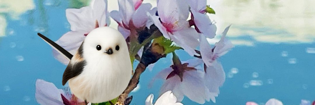 junjun_review's profile banner image