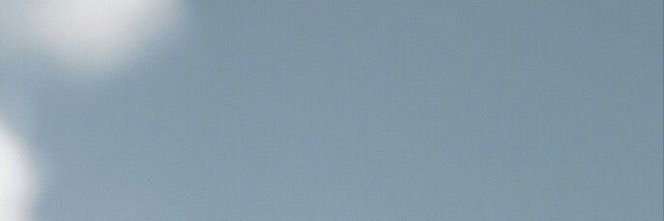 أليــنا banner