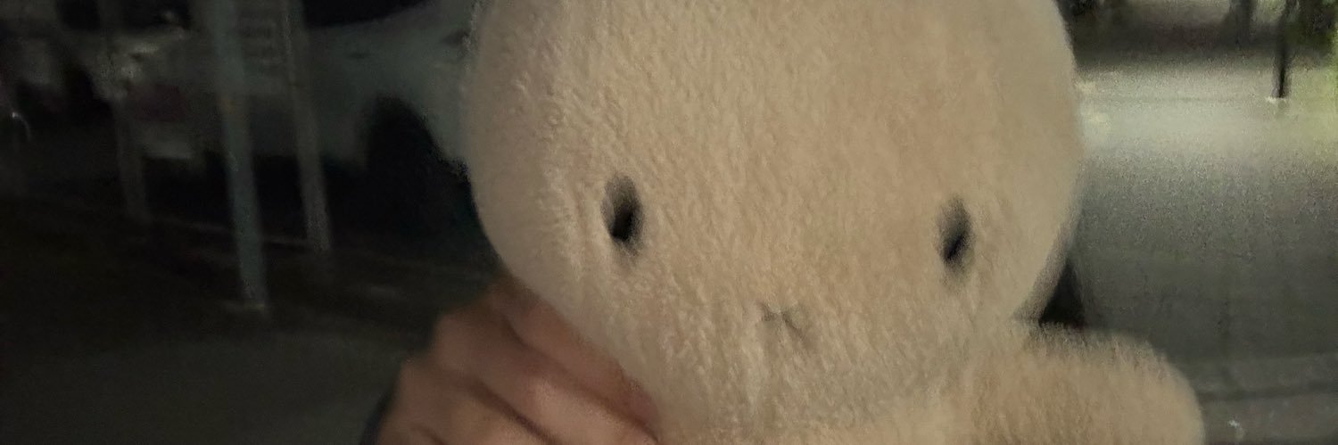 rupi2ll's profile banner image