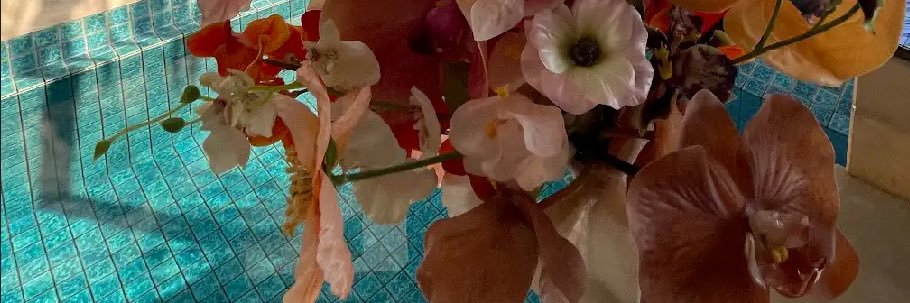 ぱん☺︎ 2𝘮🦕 banner