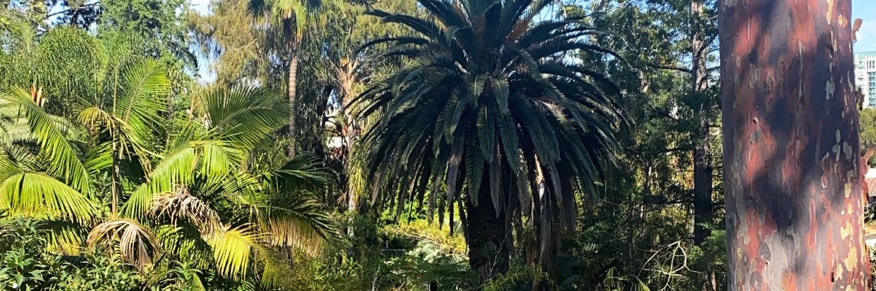 biggfoot_'s profile banner image