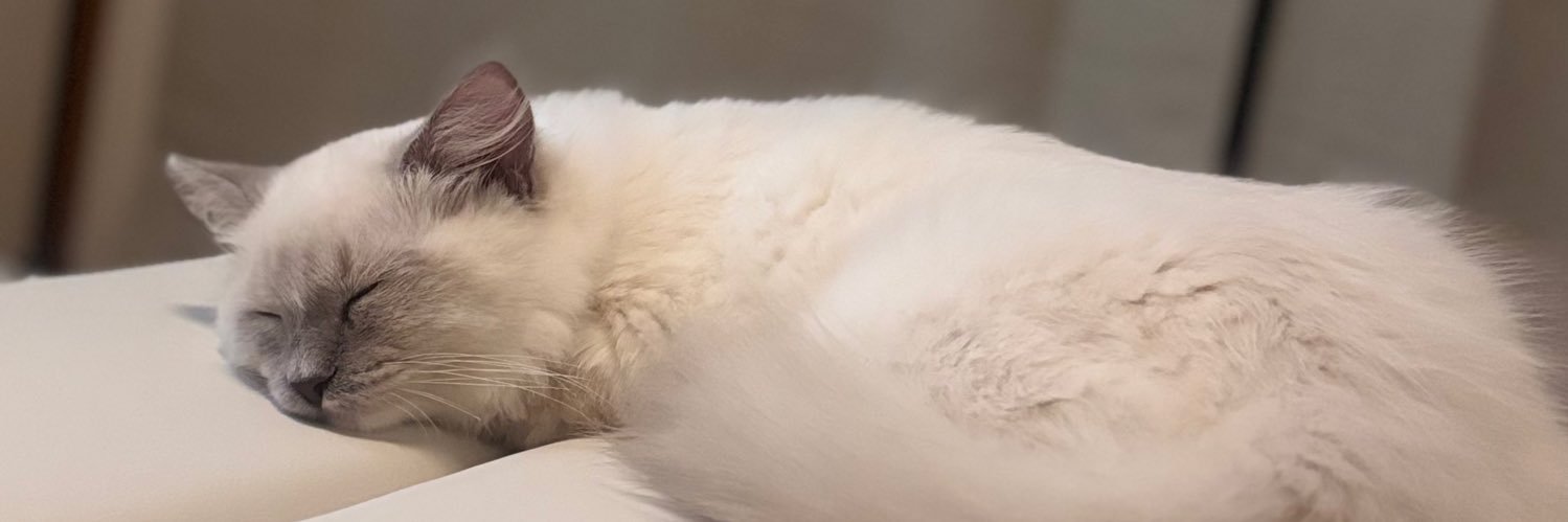 lowshkeygb's profile banner image