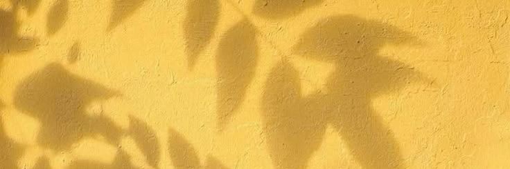 _cherylllllll's profile banner image