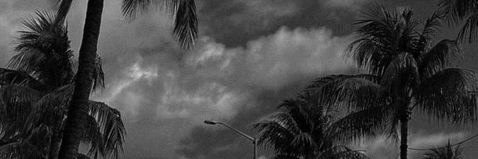 Grand Regent🦍 banner
