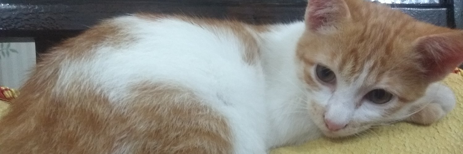 ssafirass's profile banner image