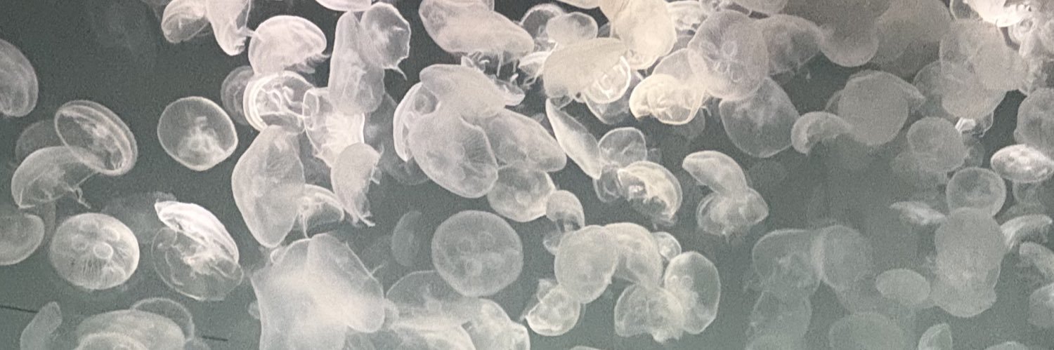 🧸's banner