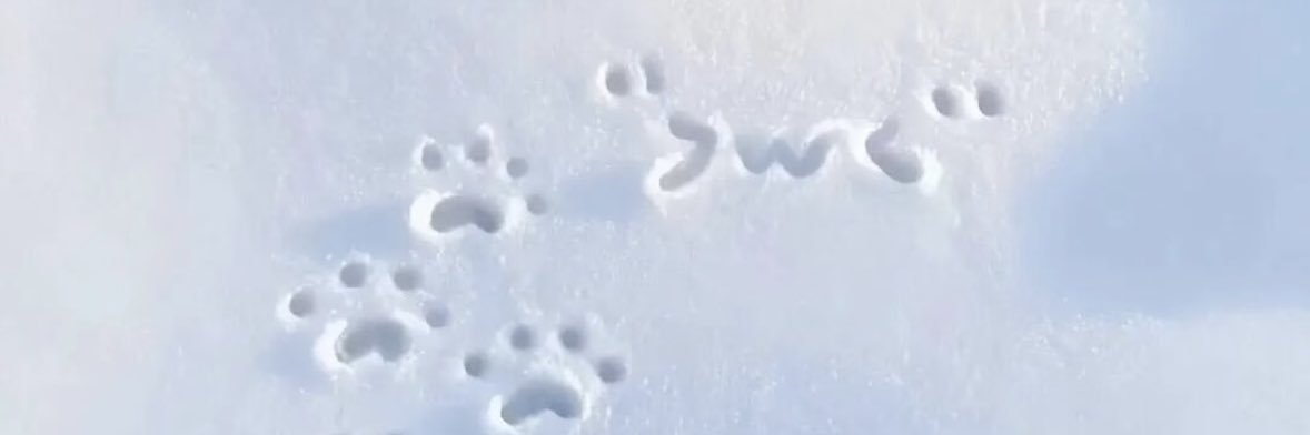 echo169018's profile banner image