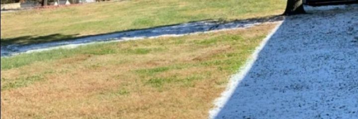 WHATmannerisms's profile banner image