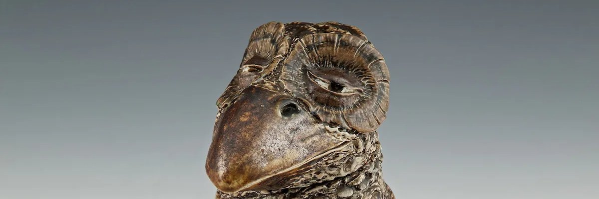 aaronkaerry's profile banner image