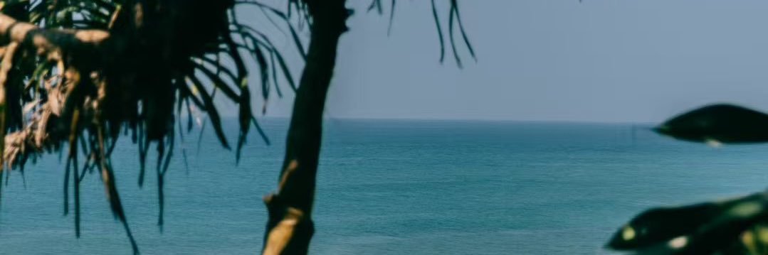 Adair在翠湖晨跑🏃 banner