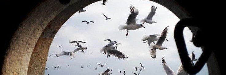 asma_zone's profile banner image