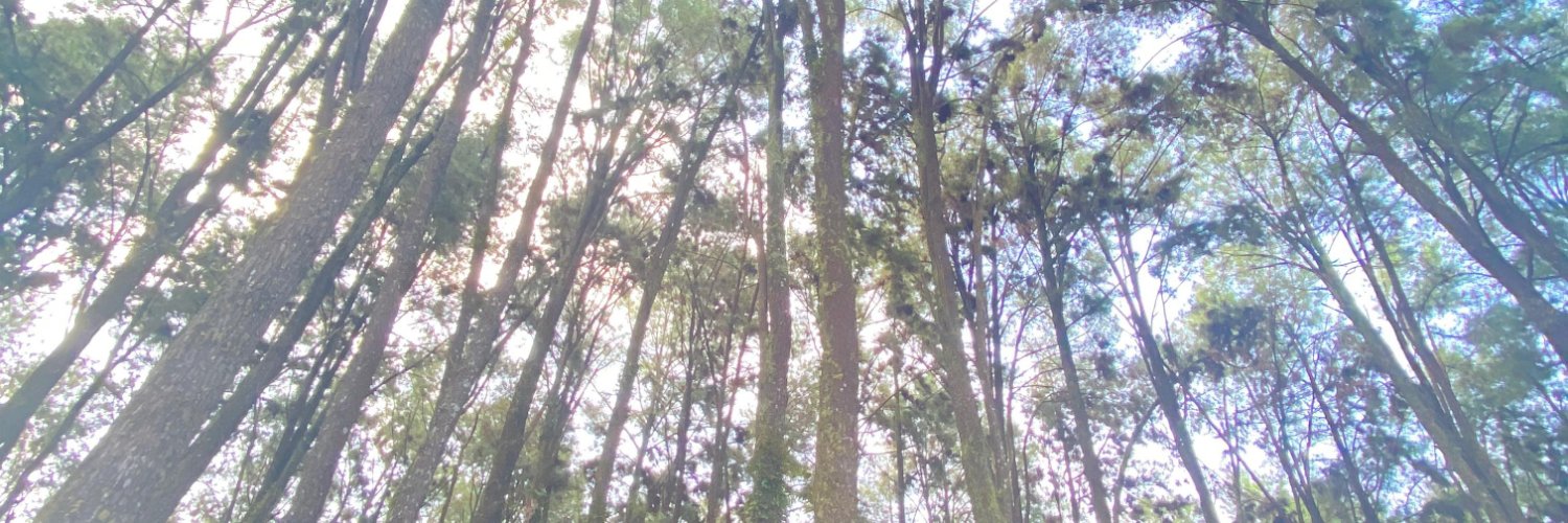 YahenSu28253's profile banner image