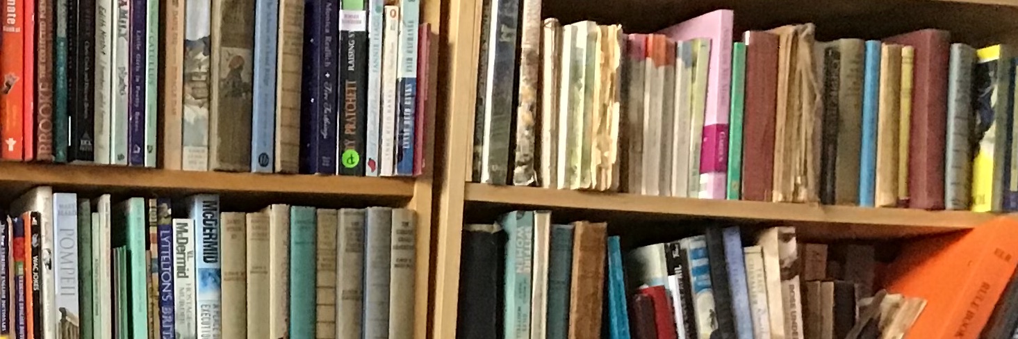 bookwormsarah's profile banner image
