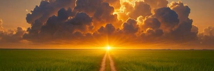 Natural beauty banner