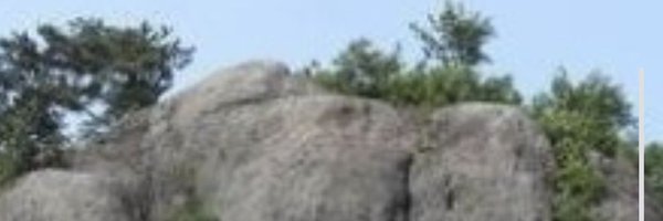 CCPOUT_STS_KOR Profile Banner