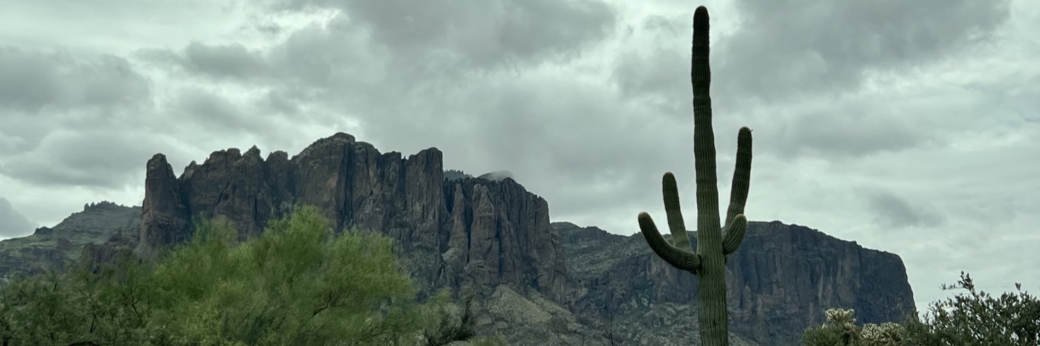 TheSnarkLife's profile banner image