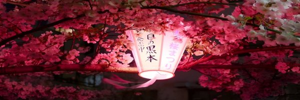 kaneyit1's profile banner image