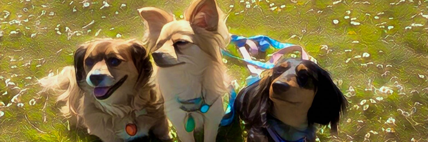 hestiahdruid's profile banner image