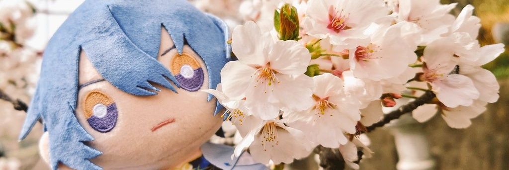 ちゃぬ banner
