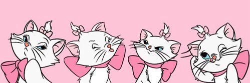 itsshayshay_19's profile banner image