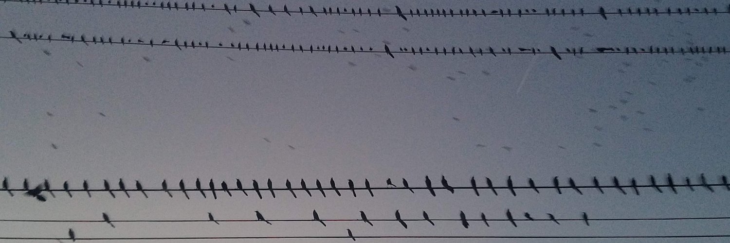 prisciillla_'s profile banner image