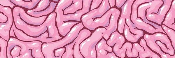 🧠nesko | SH RECOV banner
