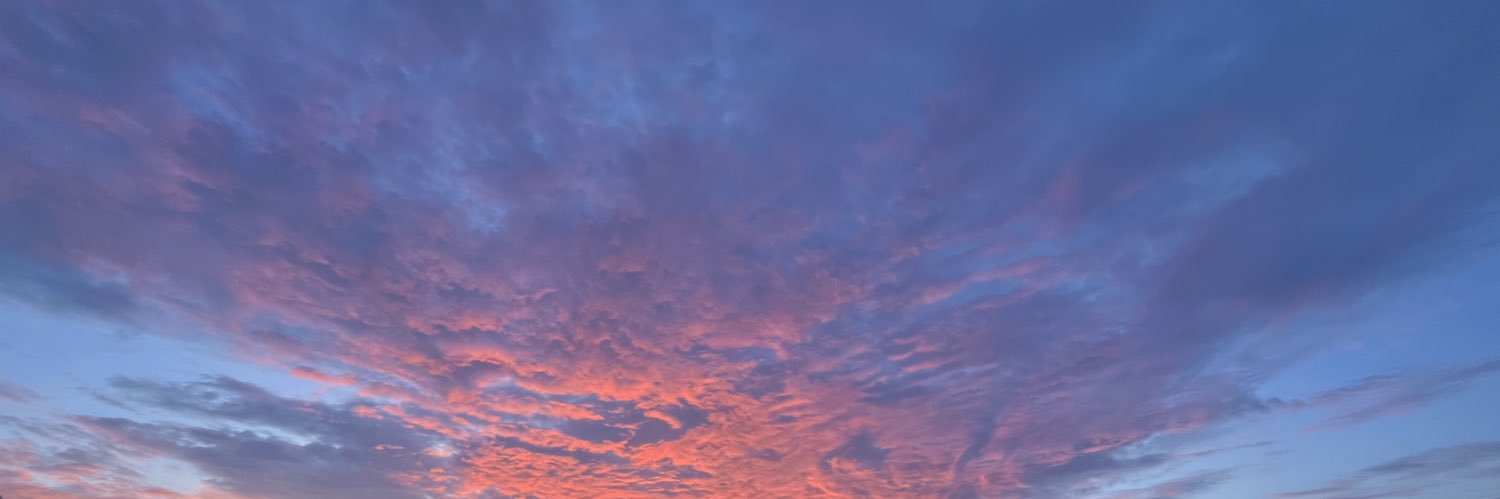 Carpedelik's profile banner image