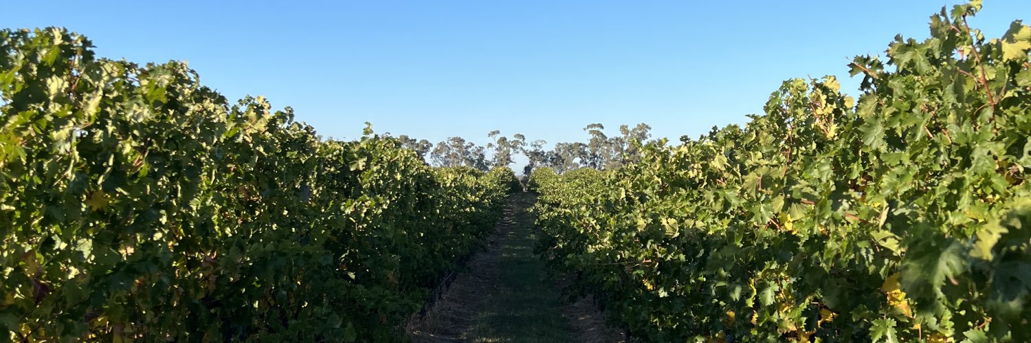 Stuart B Richardson banner