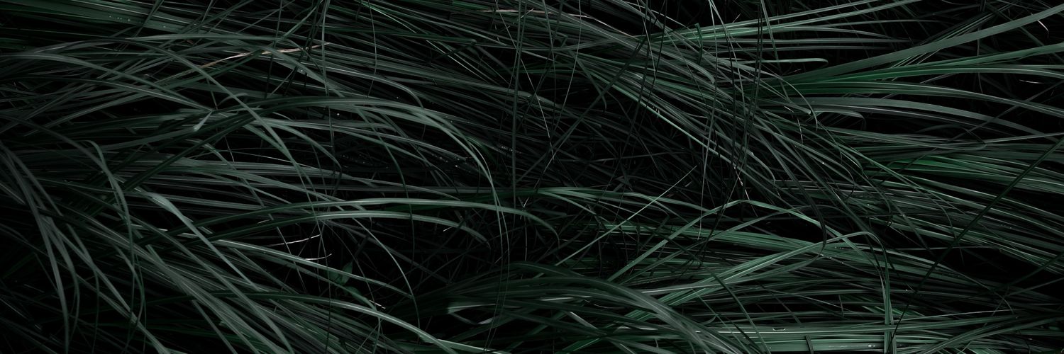 Ritzy banner