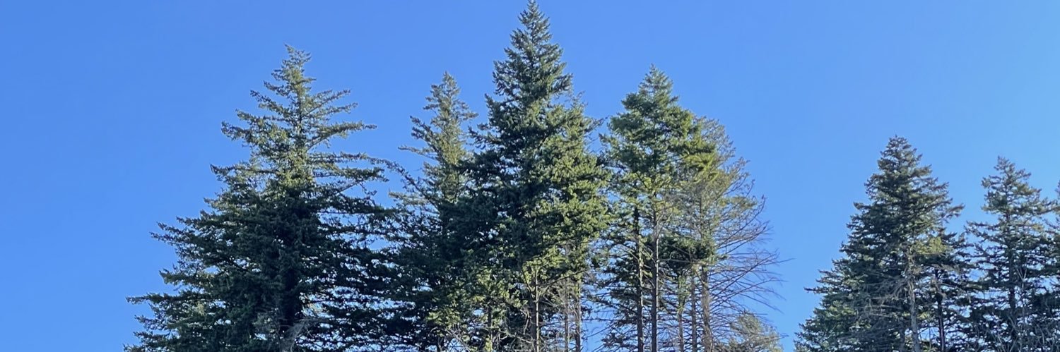 guesa's profile banner image