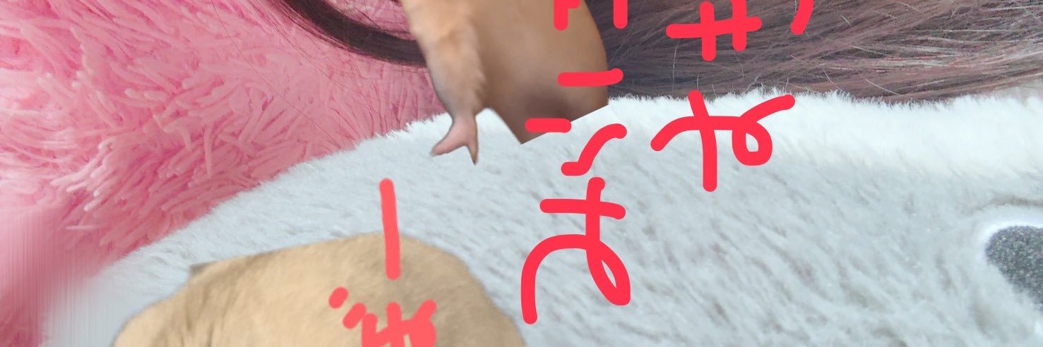 ぁ banner