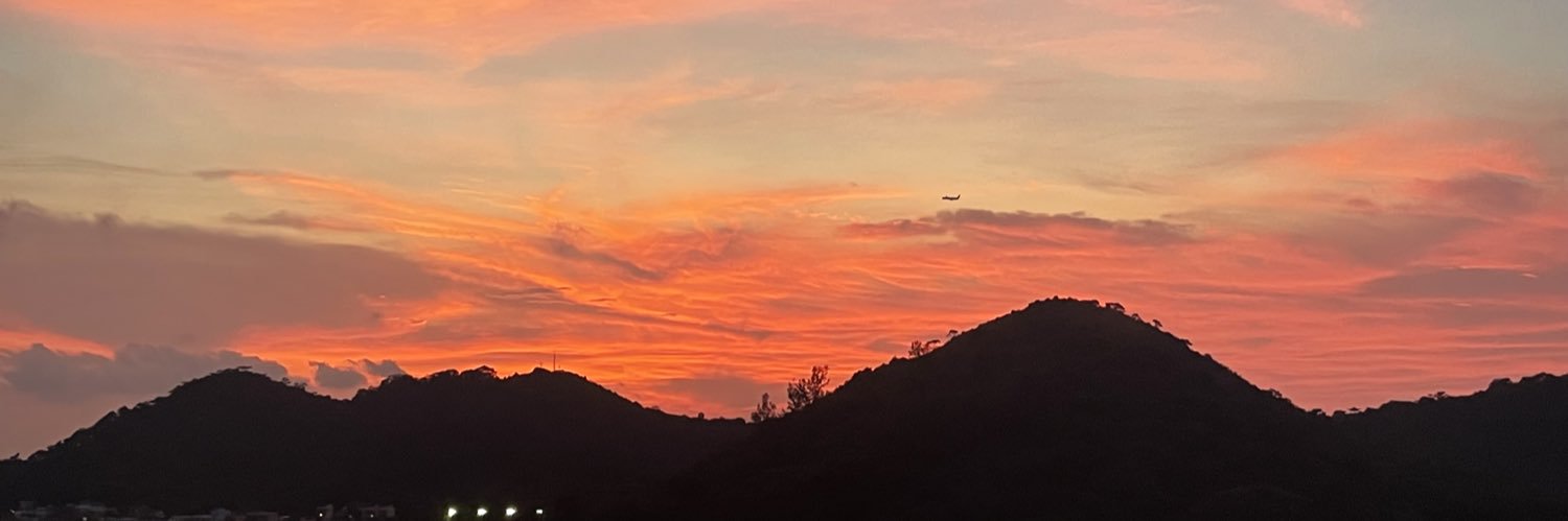 怕醜草🌿 banner