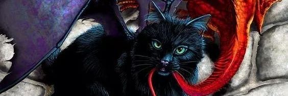 deewilde7's profile banner image