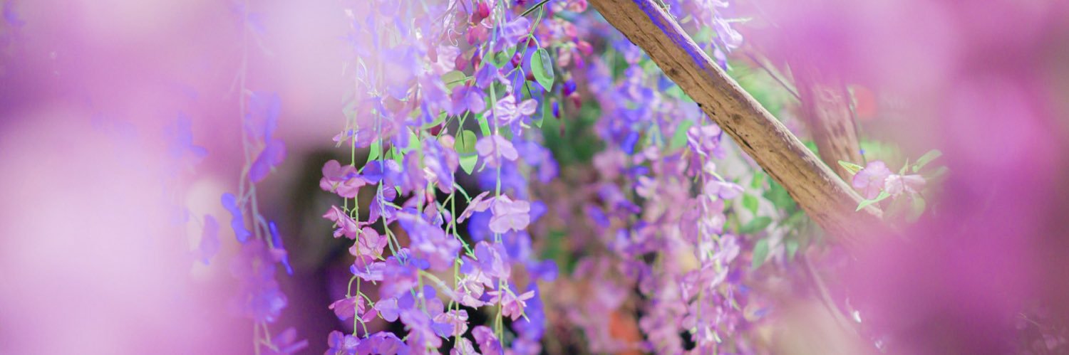 ことに banner